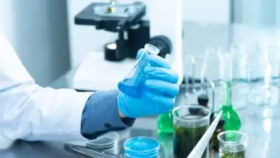 Pexels.com, фото - Новости Zakon.kz от 29.08.2021 22:42