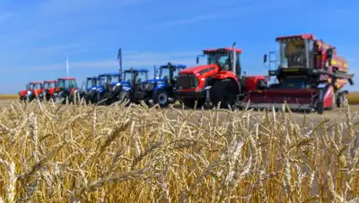 Акорда, фото - Новости Zakon.kz от 10.09.2020 15:31