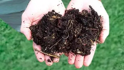 Zakon.kz, фото - Новости Zakon.kz от 20.09.2014 18:20