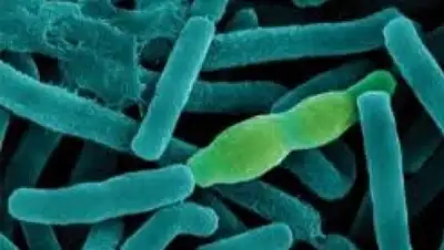 Zakon.kz, фото - Новости Zakon.kz от 25.08.2015 21:23