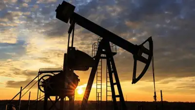 Zakon.kz, фото - Новости Zakon.kz от 24.05.2016 22:55