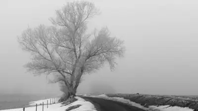 pxhere.com, фото - Новости Zakon.kz от 18.11.2021 16:04