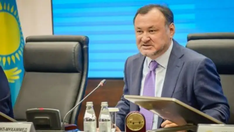 Кул-Мухаммед рассказал о работе "Нур Отана" в соцсетях