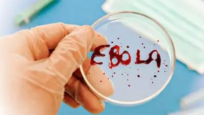 Zakon.kz, фото - Новости Zakon.kz от 28.10.2014 00:47