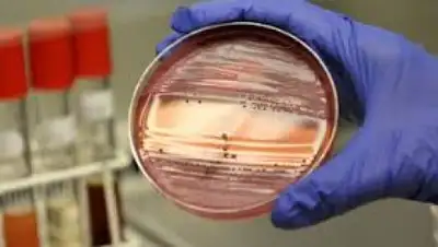 Zakon.kz, фото - Новости Zakon.kz от 30.05.2015 05:36