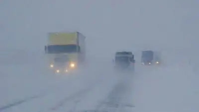 Zakon.kz, фото - Новости Zakon.kz от 24.02.2016 01:56