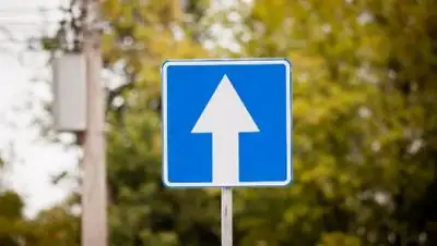 PDD-Helper, фото - Новости Zakon.kz от 20.01.2021 10:51