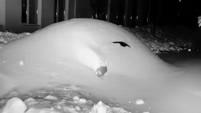 Zakon.kz, фото - Новости Zakon.kz от 29.12.2014 16:39