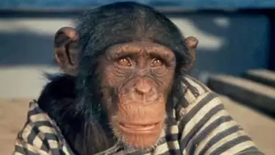 Zakon.kz, фото - Новости Zakon.kz от 16.07.2017 04:52