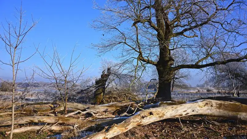 В ЗКО экоактивисты выступили против разработки нового карьера
