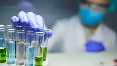 Хабар 24, фото - Новости Zakon.kz от 26.06.2020 15:03