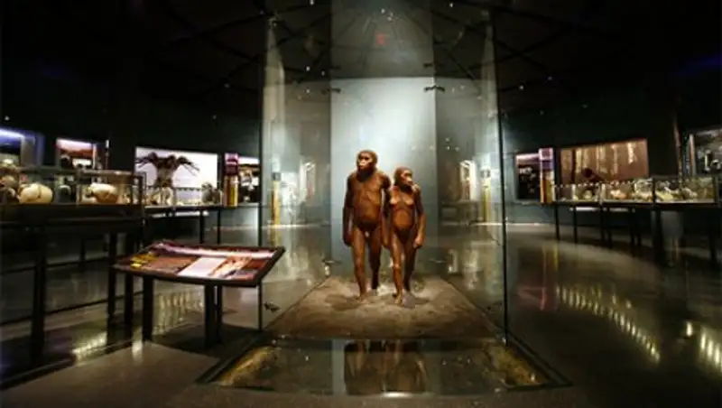 Ученые: возникновение древних людей могло произойти случайно