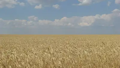 Какой будет погода 2 августа в Казахстане , фото - Новости Zakon.kz от 01.08.2022 15:32