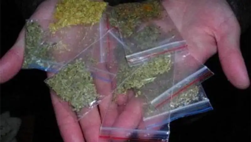 Казахстан совершенствует законодательство для борьбы с синтетическими наркотиками