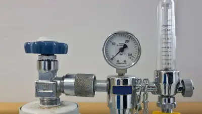 -, фото - Новости Zakon.kz от 20.07.2020 18:35