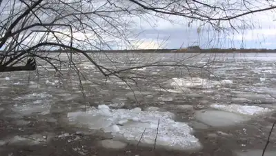 uralskweek.kz, фото - Новости Zakon.kz от 24.03.2020 14:35