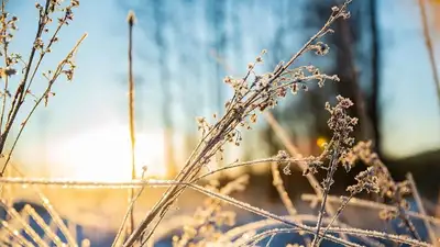 Погода на 6-8 мая: заморозки до -7 градусов и потепление ожидаются в Казахстане, фото - Новости Zakon.kz от 05.05.2023 12:57