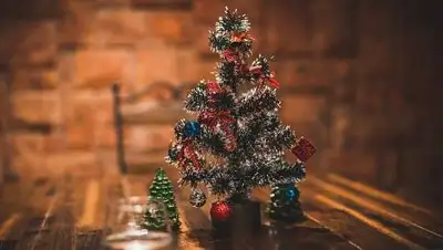 pikist.com, фото - Новости Zakon.kz от 04.12.2020 12:00