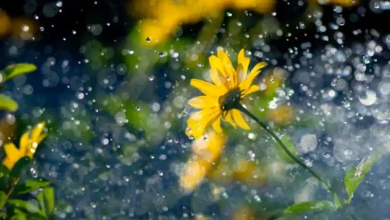 23 августа лишь на юге и западе РК ожидается погода без осадков