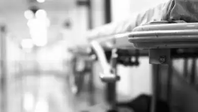 zakon.kz, фото - Новости Zakon.kz от 18.06.2021 09:10