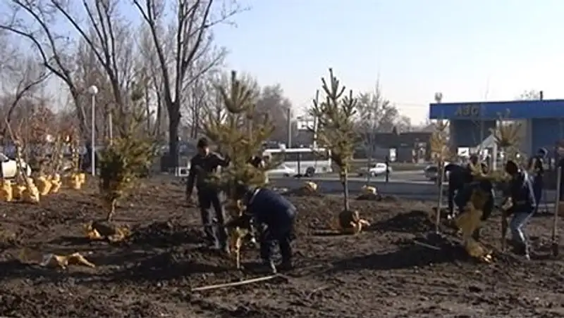 Загрязненность воздуха в Алматы снизилась