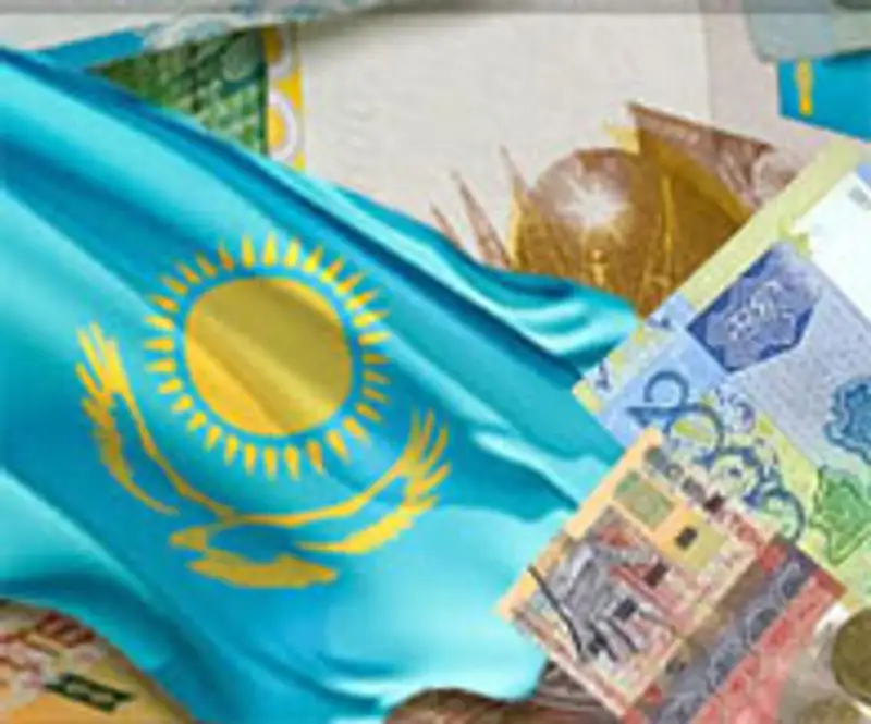 Казахстан хочет привлечь стабильным налоговым режимом крупных налогоплательщиков из-за рубежа,, фото - Новости Zakon.kz от 02.09.2011 19:11