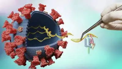 depositphotos.com, фото - Новости Zakon.kz от 04.02.2021 01:33