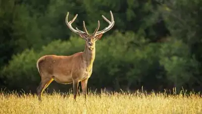 fleepik, фото - Новости Zakon.kz от 29.04.2021 12:11