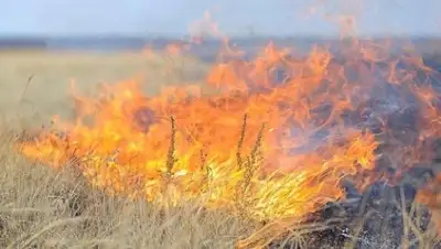 Zakon.kz, фото - Новости Zakon.kz от 11.07.2017 06:20