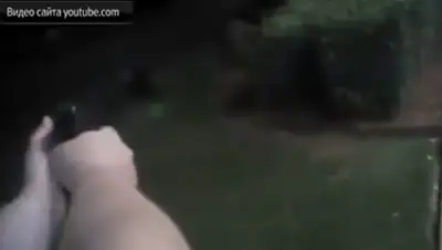 Zakon.kz, фото - Новости Zakon.kz от 02.07.2015 22:30