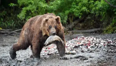 Zakon.kz, фото - Новости Zakon.kz от 20.09.2015 22:26