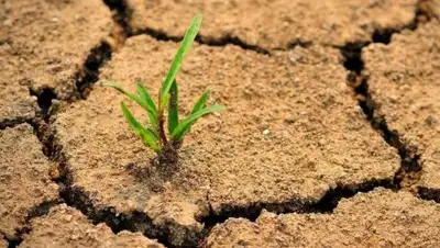 Zakon.kz, фото - Новости Zakon.kz от 24.10.2016 18:19