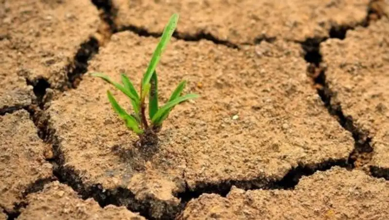 Засуху в Казахстане будут мониторить из космоса