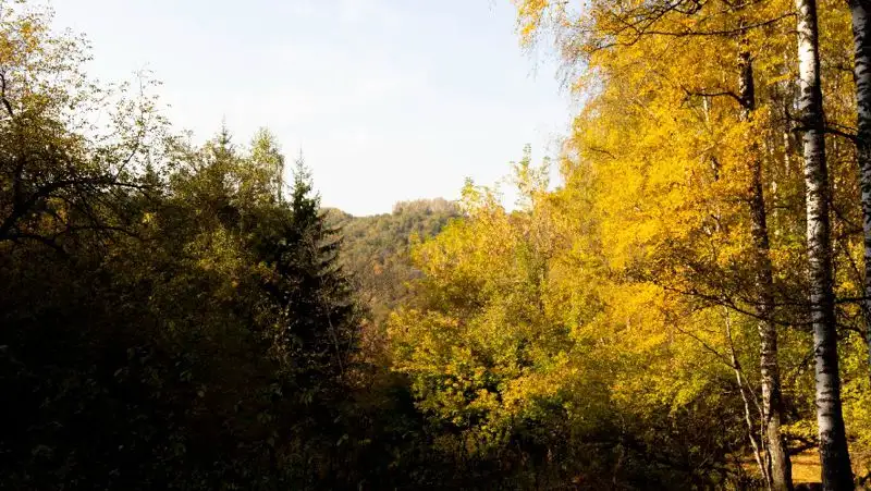 Теплая пятница ждет казахстанцев