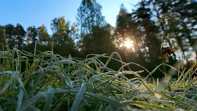 iz.ru, фото - Новости Zakon.kz от 11.09.2019 12:44