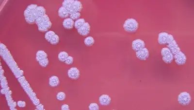 Zakon.kz, фото - Новости Zakon.kz от 12.07.2016 16:53