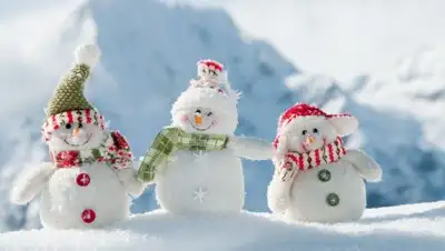 Zakon.kz, фото - Новости Zakon.kz от 17.01.2017 12:02