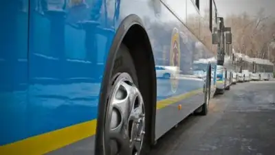 Новостной портал Магнолия, фото - Новости Zakon.kz от 12.12.2018 08:45