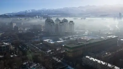 Zakon.kz, фото - Новости Zakon.kz от 20.02.2017 17:16