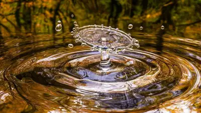 Pixabay, фото - Новости Zakon.kz от 02.11.2019 15:19