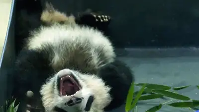 Zakon.kz, фото - Новости Zakon.kz от 18.03.2016 06:05