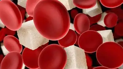 Lokmat.com, фото - Новости Zakon.kz от 06.04.2021 12:54