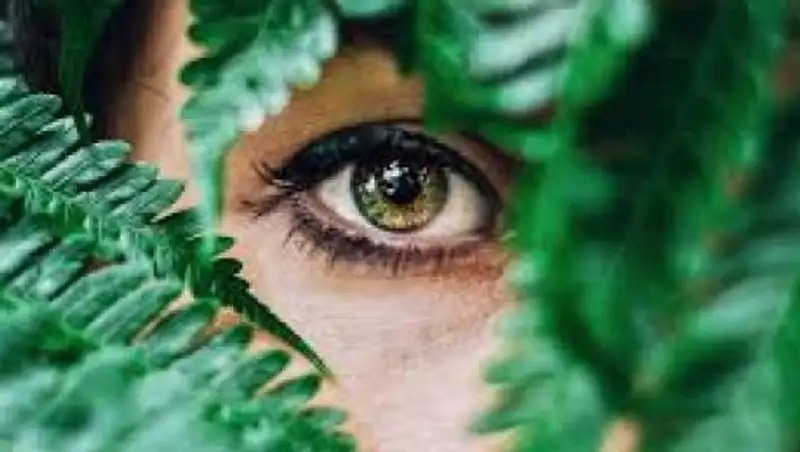 Что полезно для здоровья глаз