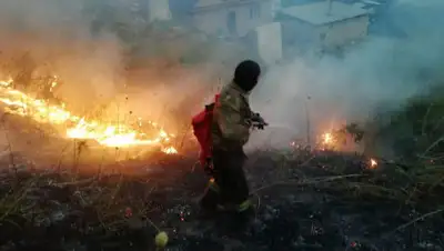 ДЧС Алматы, фото - Новости Zakon.kz от 13.08.2019 22:39