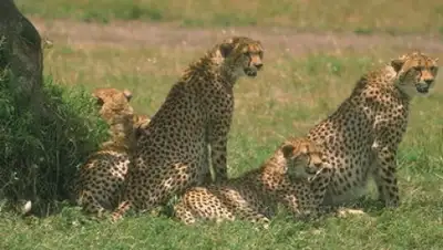 Zakon.kz, фото - Новости Zakon.kz от 12.02.2016 17:14