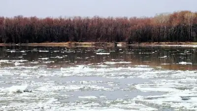 Zakon.kz, фото - Новости Zakon.kz от 16.02.2017 16:35