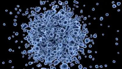 Pixabay, фото - Новости Zakon.kz от 24.01.2020 20:46