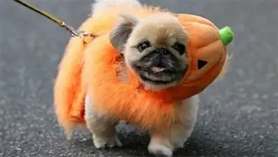 Zakon.kz, фото - Новости Zakon.kz от 10.10.2014 17:55