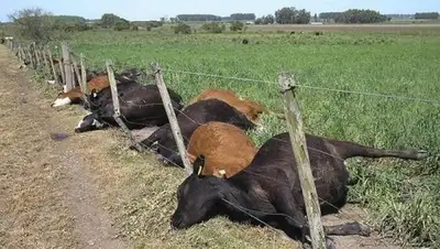 Zakon.kz, фото - Новости Zakon.kz от 04.07.2015 19:19