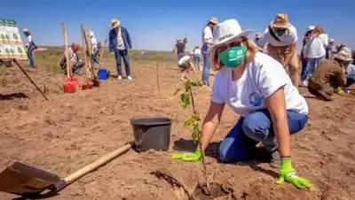 Carlsberg Kazakhstan, фото - Новости Zakon.kz от 25.05.2021 09:35